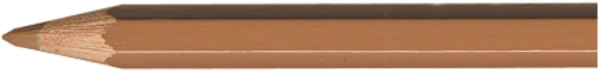 Carandache kleur potlood Pablo Cinnamon (055)